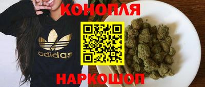 стаф Дубна