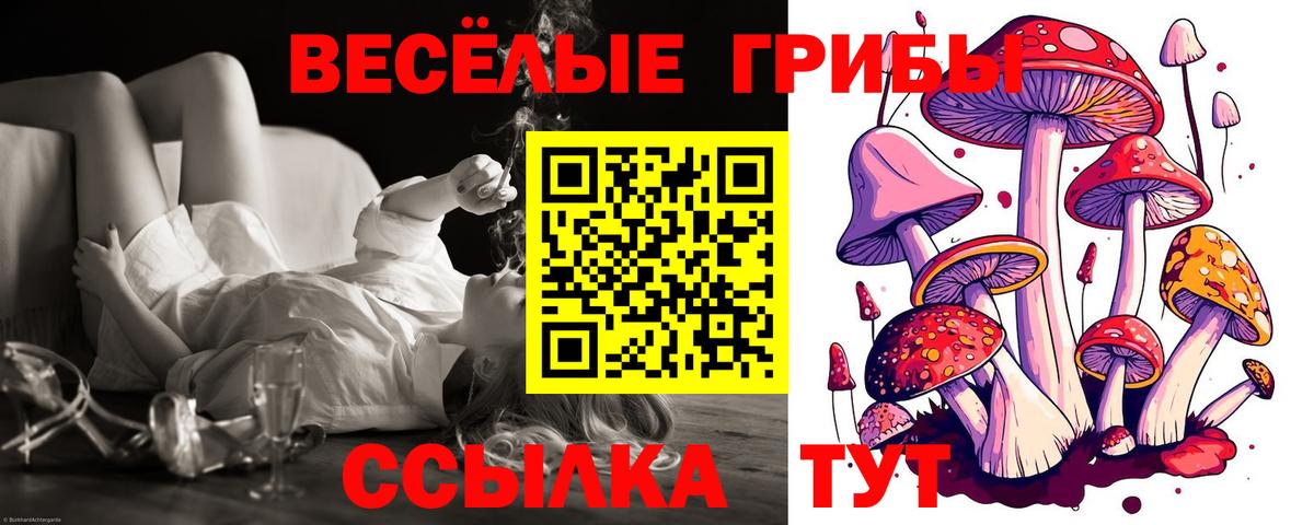 Лосино-Петровский  Галлюциногенные грибы Cubensis  Псилоцибиновые грибы GOLDEN TEACHER  наркота  Вход с VPN 